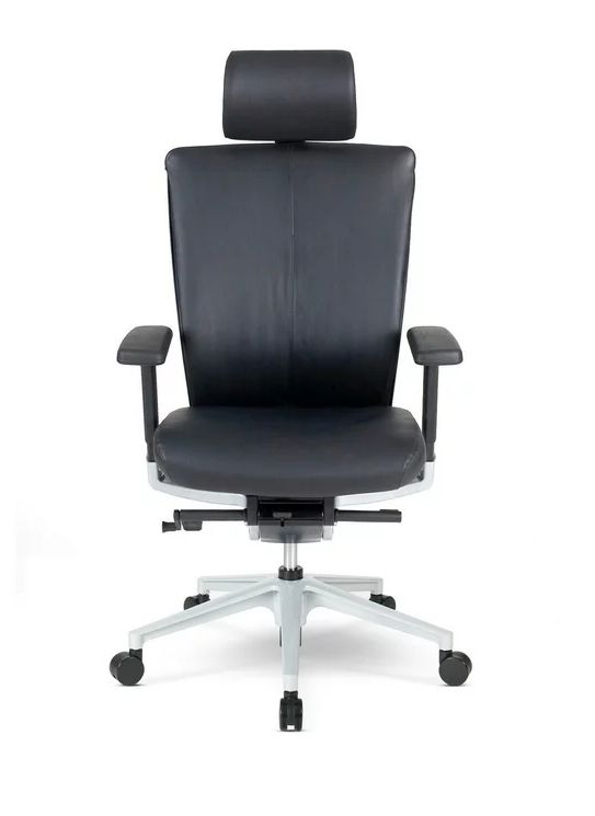 Эргономичное кресло Schairs AEON-F01SX