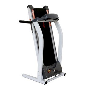 Беговая дорожка American Motion Fitness TX001 + поручни