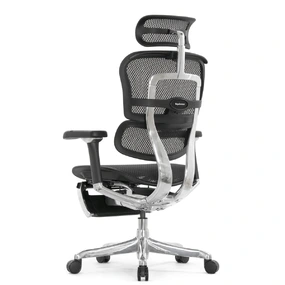 Эргономичное кресло Falto Ergohuman 2 Luxury с подножкой (SmartWork, алюминий, наклон вперёд, сетка, чёрный)