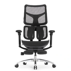 Эргономичное кресло Falto Scala Office с подножкой (разделённый поясничный упор, сетка, чёрный)